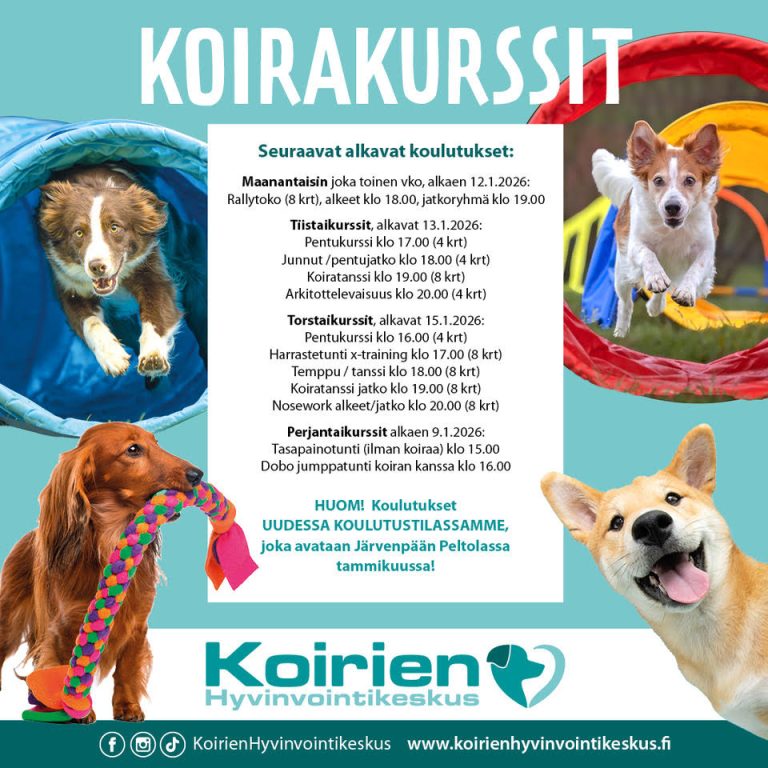 Tammikuussa 2026 alkavat kurssit!