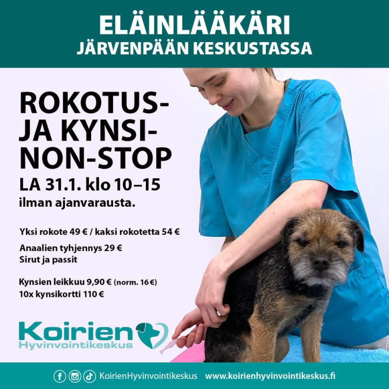 ROKOTUS- JA KYNSI-NON-STOP LA 31.1.2026